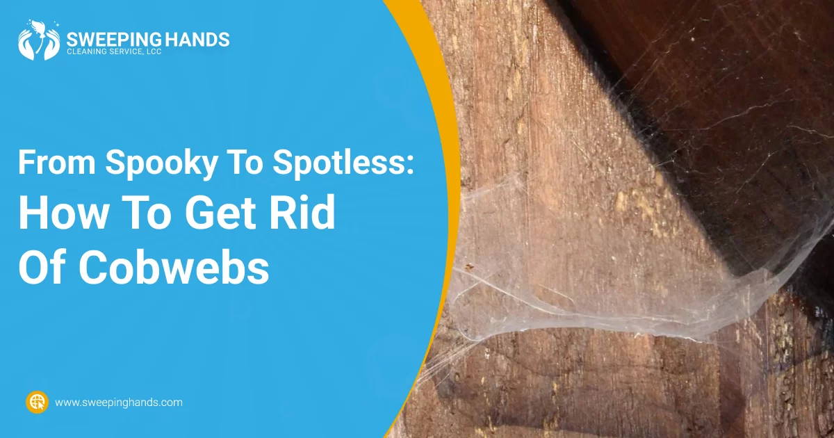 From Spooky To Spotless: How To Get Rid Of Cobwebs